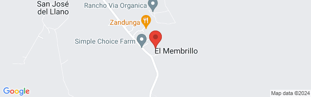 Property 2943 Map in San Miguel de Allende