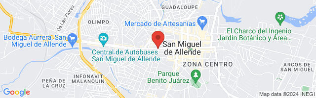 Property 5400 Map in San Miguel de Allende