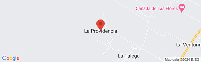 Property 8016 Map in San Miguel de Allende