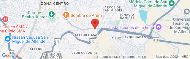 Property 8549 Map in San Miguel de Allende