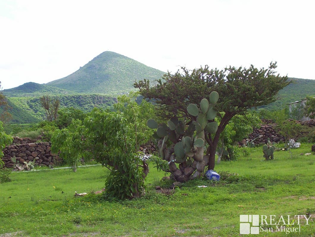 7 Hectares of Land in Jalpa